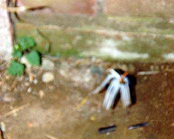 Burringham Photo 03